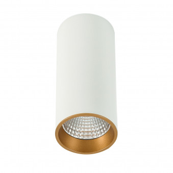 Moldes Big WH/GO Celing 3000K
